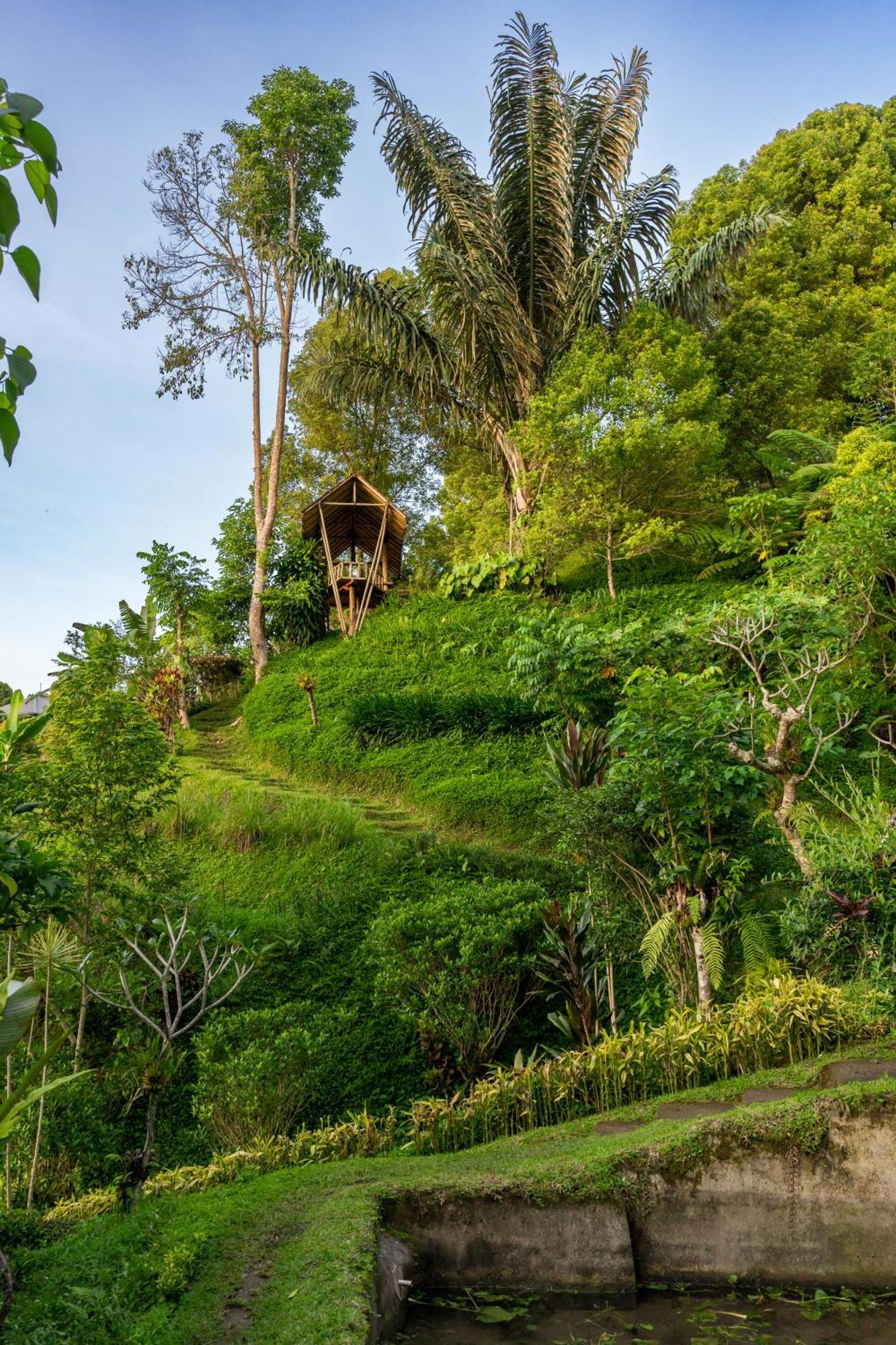 Garden Terrace Bali Bed & Breakfast Gobleg  Bagian luar foto