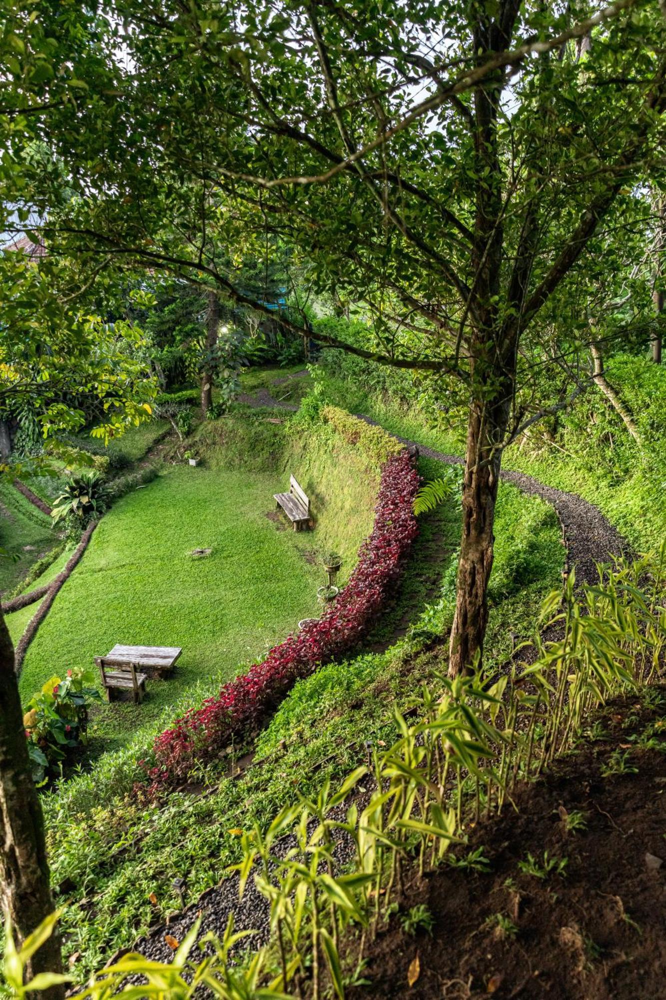 Garden Terrace Bali Bed & Breakfast Gobleg  Bagian luar foto