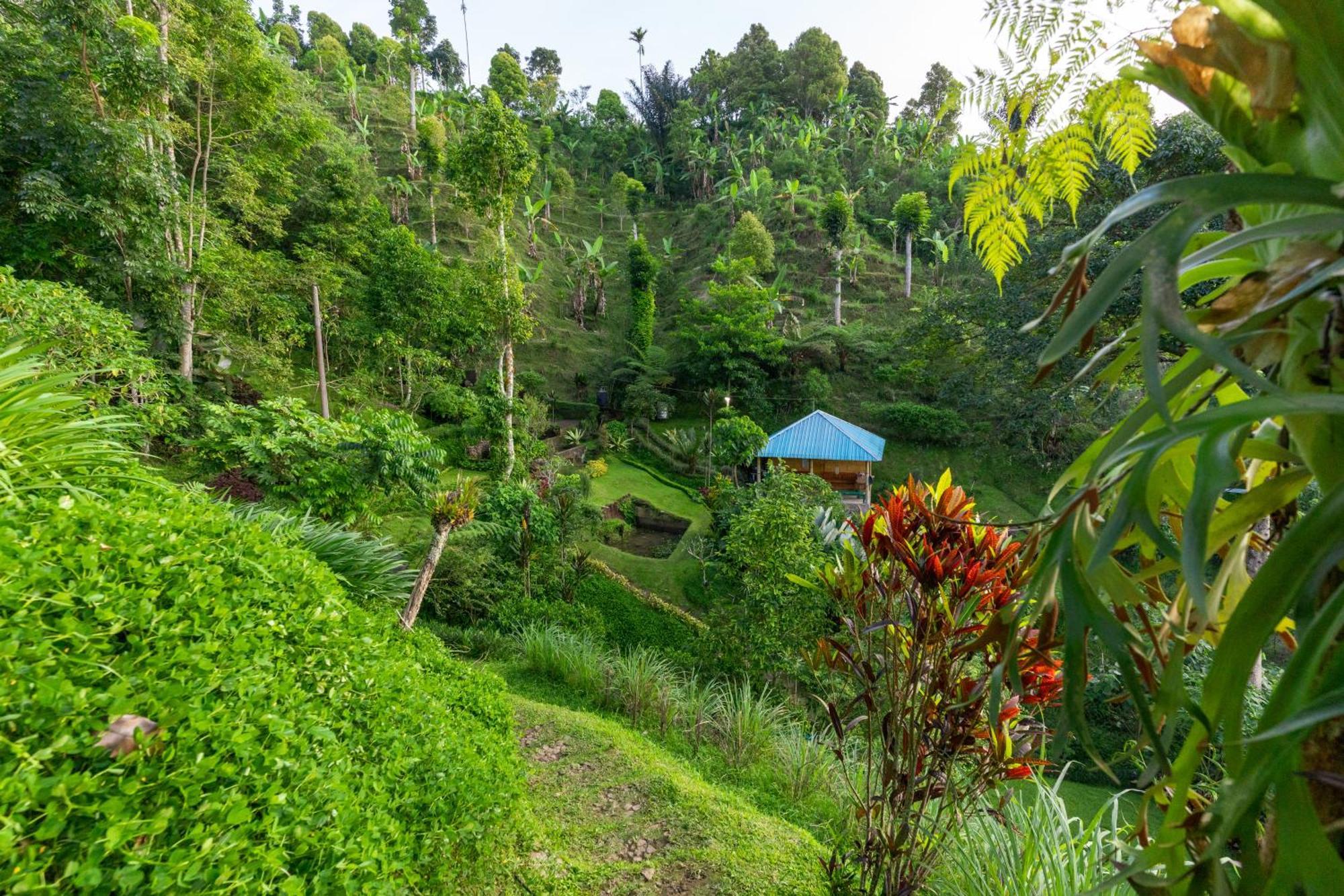 Garden Terrace Bali Bed & Breakfast Gobleg  Bagian luar foto