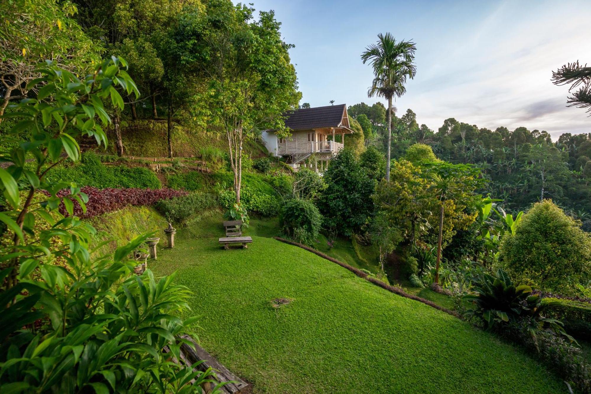Garden Terrace Bali Bed & Breakfast Gobleg  Bagian luar foto