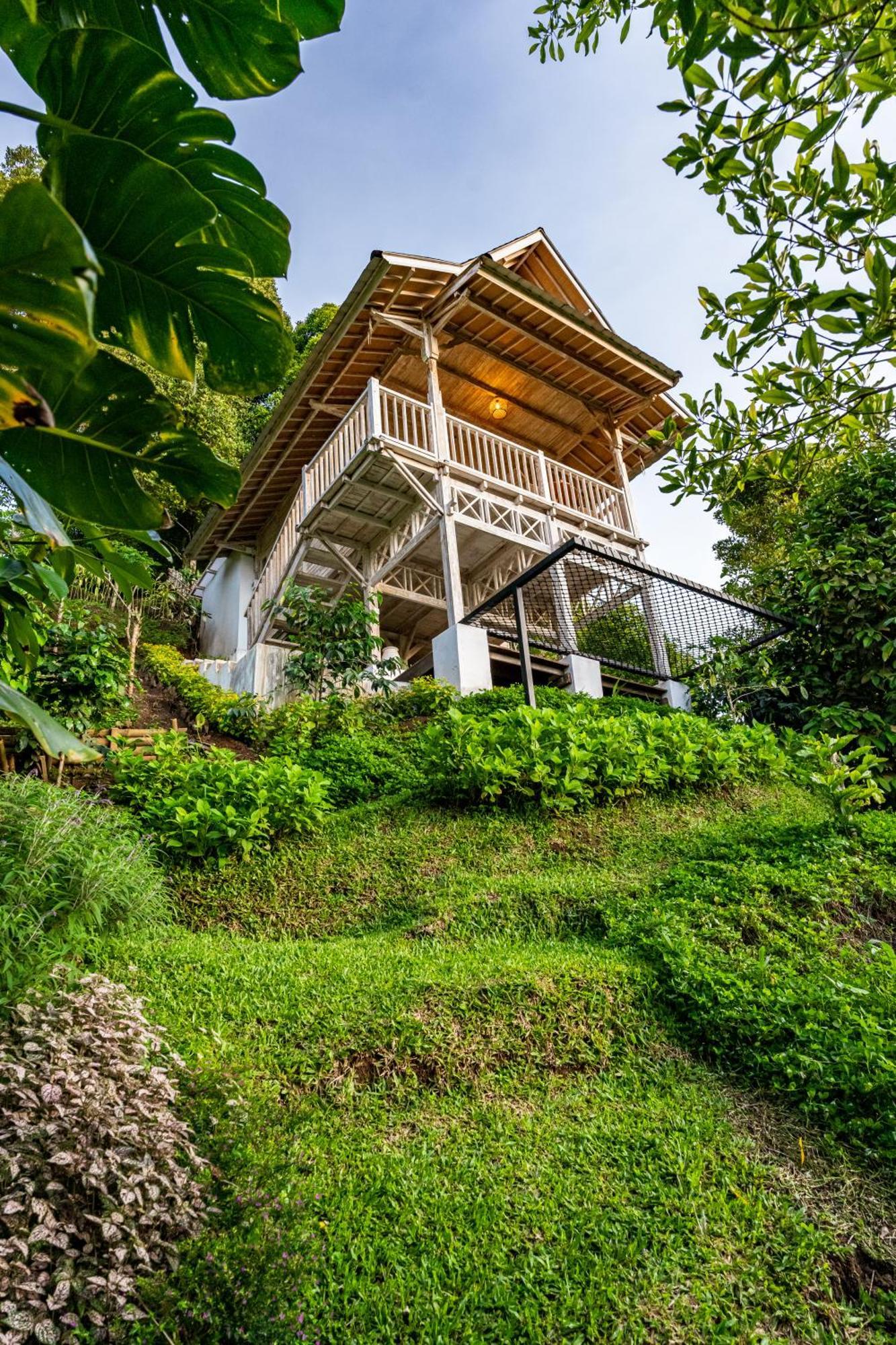 Garden Terrace Bali Bed & Breakfast Gobleg  Bagian luar foto
