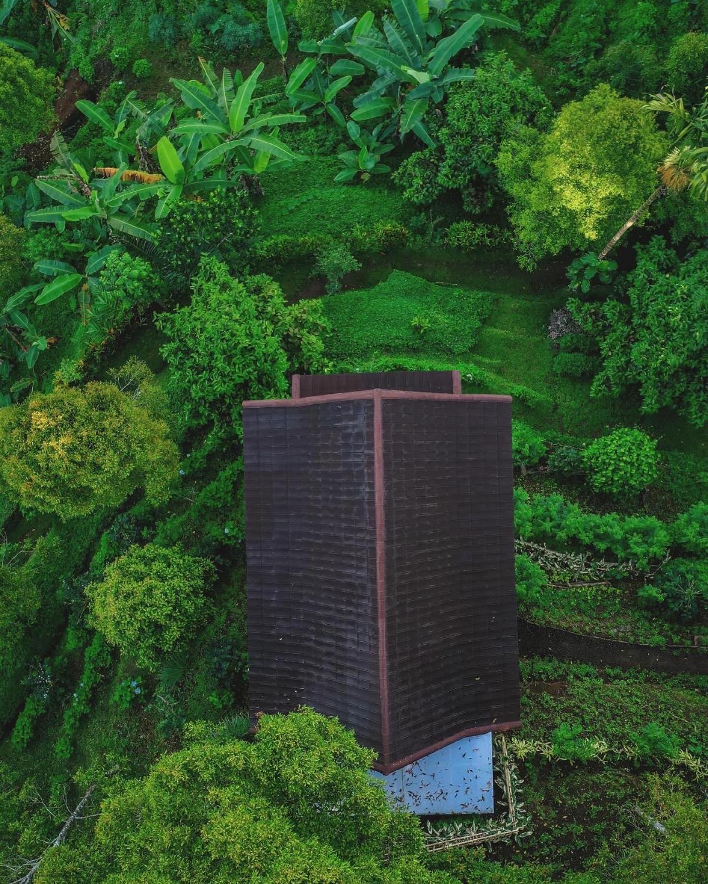 Garden Terrace Bali Bed & Breakfast Gobleg  Bagian luar foto