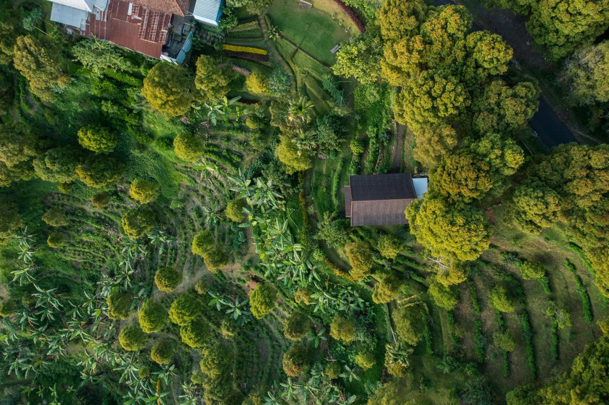 Garden Terrace Bali Bed & Breakfast Gobleg  Bagian luar foto