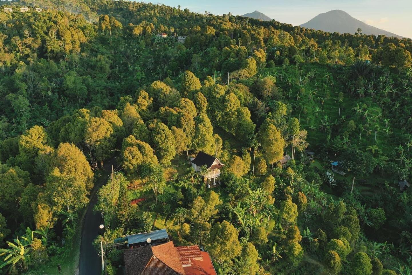 Garden Terrace Bali Bed & Breakfast Gobleg  Bagian luar foto
