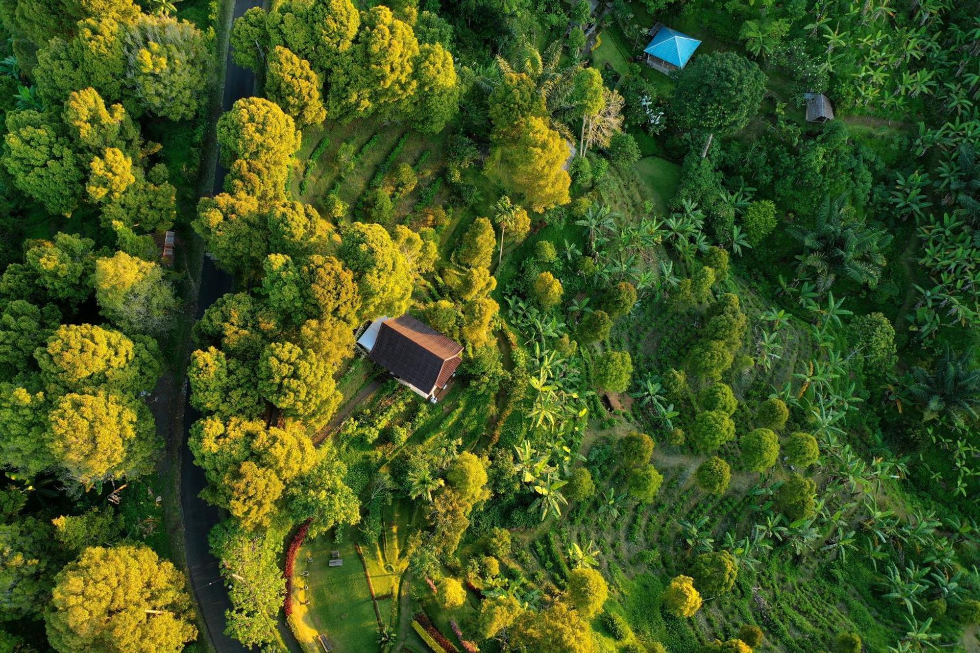 Garden Terrace Bali Bed & Breakfast Gobleg  Bagian luar foto